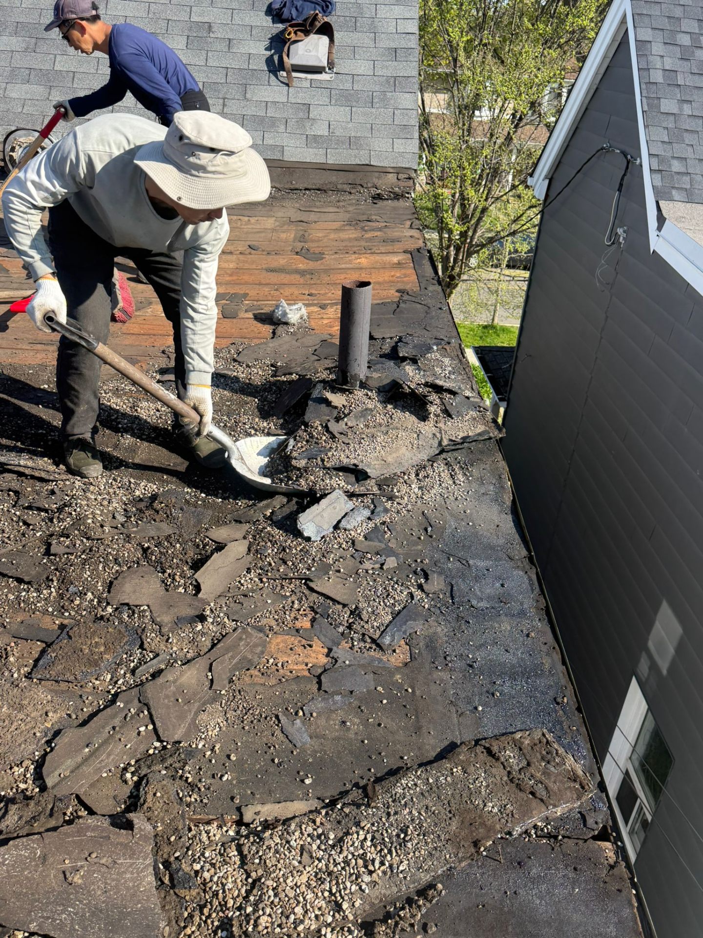 Full tear-off — North York
